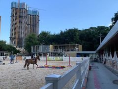 -名驭国际马术学院
