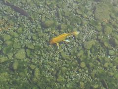 -百泉景区