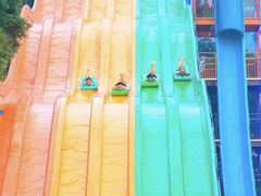 -重庆海昌加勒比海水世界