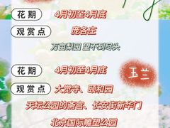 -沉浸北京·团建旅行·密室剧本杀·年会会议轰趴拓展