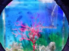 -左海海底世界