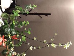 -郑春發佛跳墙(三迪中心店)