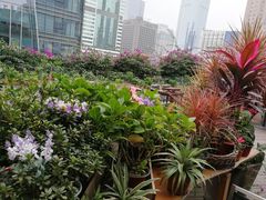 -听香·678茶铺(猛追湾店)