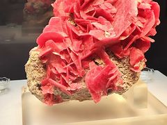 -湖南省地质博物馆