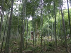 -众神白水涧景区