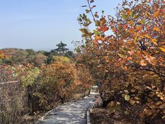 -北京西山国家森林公园