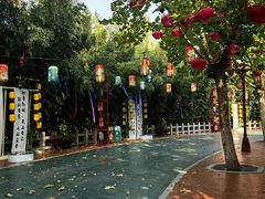 -郑州方特梦幻王国