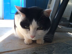 iphone_upload_pic-Anne猫窝咖啡屋