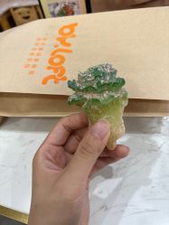 -宝燕乐园(春申店)