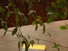 -时间集(东润·泰和苑店)