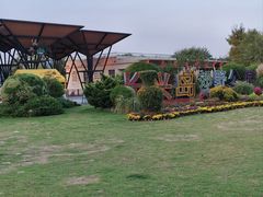 -上海长兴岛郊野公园