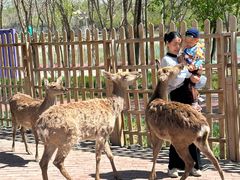 -水上乐园·欢乐世界