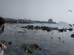 -小孙家厨(长春路店)