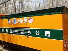 -合肥滨湖国家森林公园