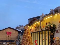 -HERRE·FARM 赫尔露营农场·团建聚会包场