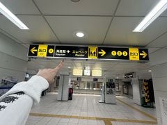 -大阪海游馆