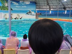 -尼莫海豚馆