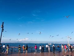 -东港音乐喷泉广场