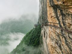 -鹿院坪生态旅游景区