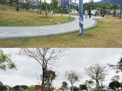 -白石龙音乐公园