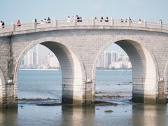 -万绿园