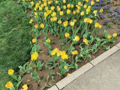 -石家庄市植物园