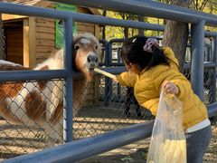 -长白岛森林公园