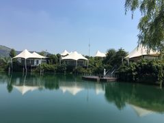 -帐篷客·溪龙茶谷度假酒店