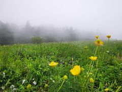 -白草畔自然风景区