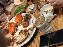 -MR鹅外