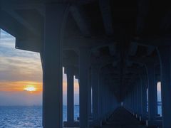 -宝安西湾红树林湿地公园