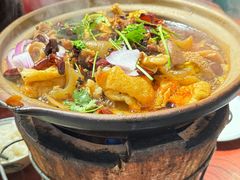 牛杂-沙胆彪炭炉牛杂煲(成都玉林店)