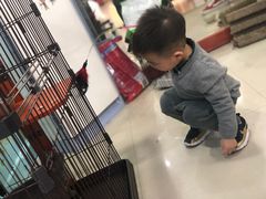 -iF摄影•全家福•证件照•形象照(南山店)