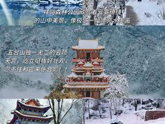 -秦岭风景区