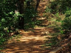 -北京西山国家森林公园