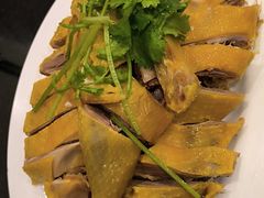 -南江鸡饭店(龙华雅苑分店)