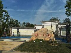 -武清南湖绿博园