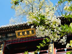 -潭柘寺景区