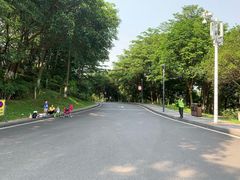 -东莞植物园