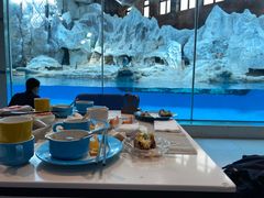 -帝企鹅自助餐厅•儿童岛•真企鹅(长隆企鹅酒店)