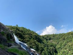 -九鲤湖风景区