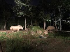 -清迈夜间动物园