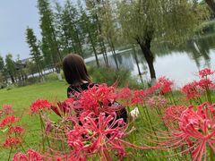 -眉山湿地公园(东坡区)