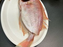 -吴记富苑(朝阳店)