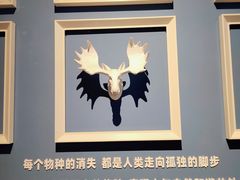 -重庆欢乐海底世界