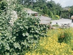 -云端咖啡(古北水镇景区店)