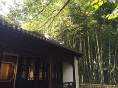 -汇龙潭