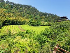 -敬亭山风景名胜区