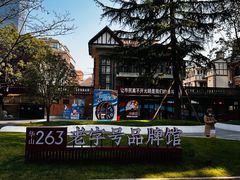 -华山263老字号品牌馆