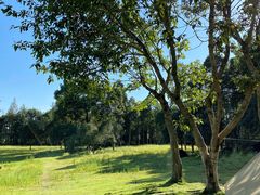 -三圣花乡旅游区